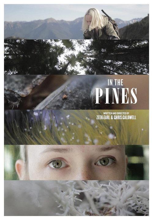 In the Pines 2011 official movie poster