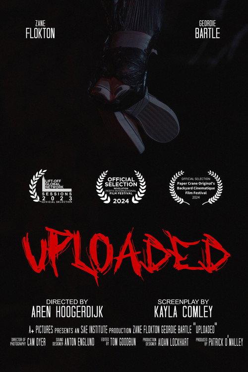 Uploaded 2024 official movie poster