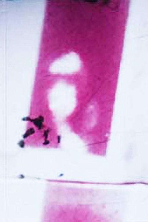 Frames 1973 official movie poster