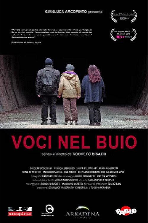 Voices in the Dark 2013 official movie poster