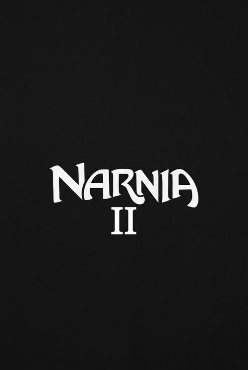Untitled Chronicles of Narnia Film #2  official movie poster