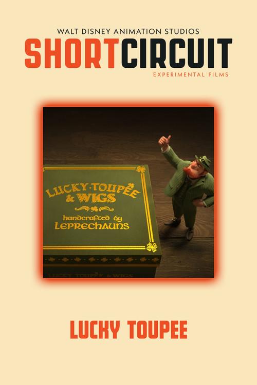 Lucky Toupée 2019 official movie poster
