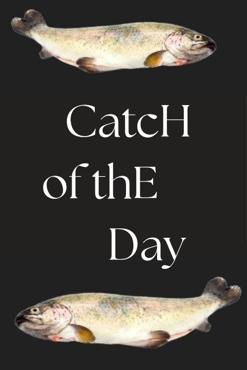 Catch of the Day 2024 official movie poster
