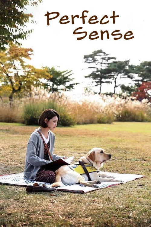 Perfect Sense 2016 official movie poster