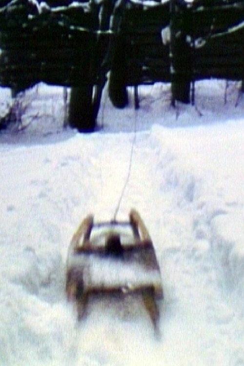 Sled 1980 official movie poster