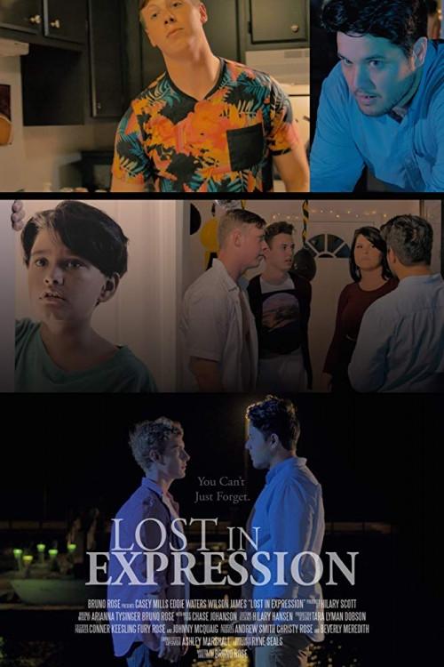 Lost in Expression 2015 official movie poster