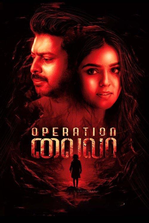 Operation Laila 2024 official movie poster