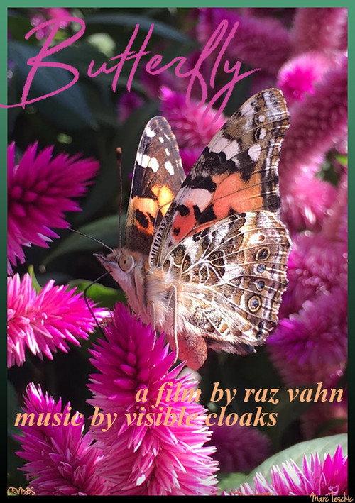 Butterfly 2018 official movie poster