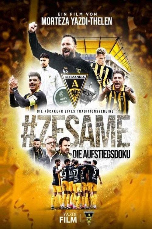 #ZESAME The promotion documentary 2024 official movie poster