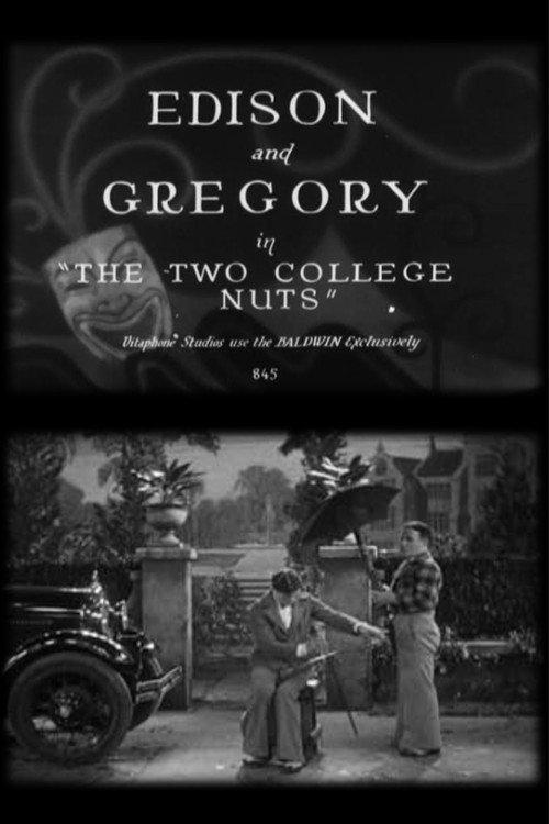 The Two College Nuts 1929 official movie poster