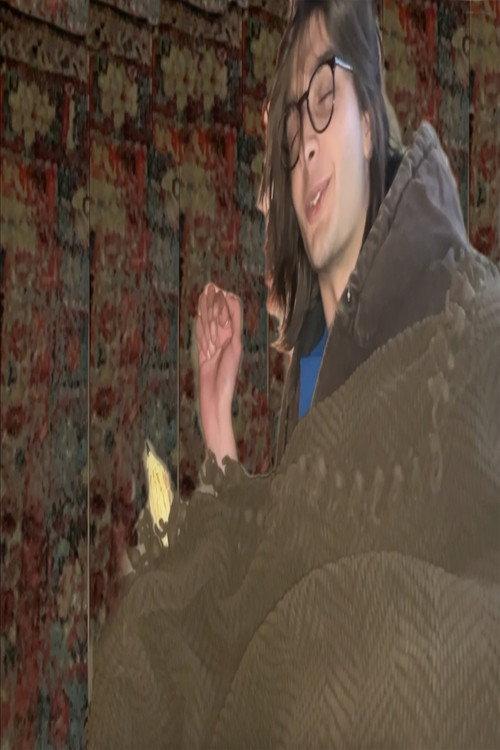 Bird Stomach 2024 official movie poster