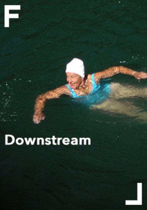 Downstream 2008 official movie poster