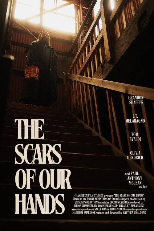 The Scars of Our Hands 2025 official movie poster