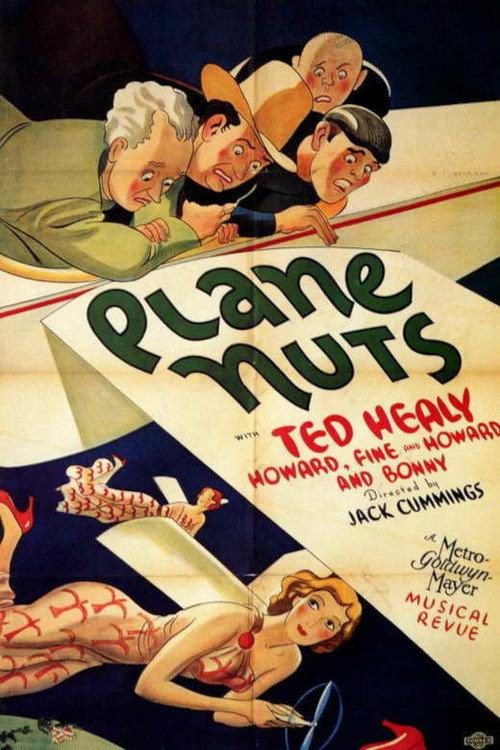 Plane Nuts 1933 official movie poster