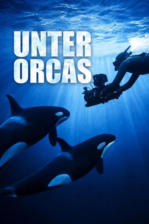 Unter Orcas 2025 official movie poster