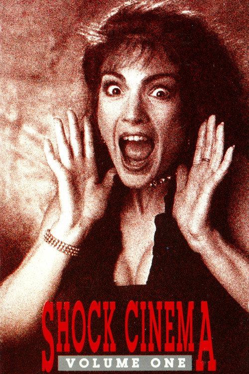 Shock Cinema: Volume One 1991 official movie poster