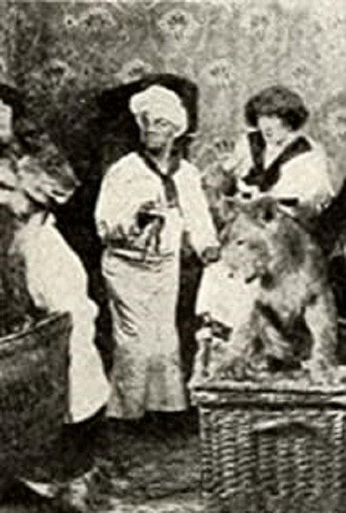 Calino et ses pensionnaires 1911 official movie poster