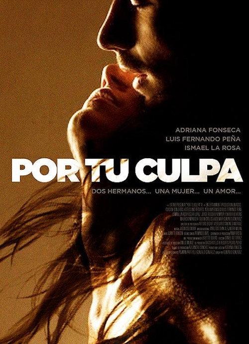 Por Tu Culpa 2012 official movie poster