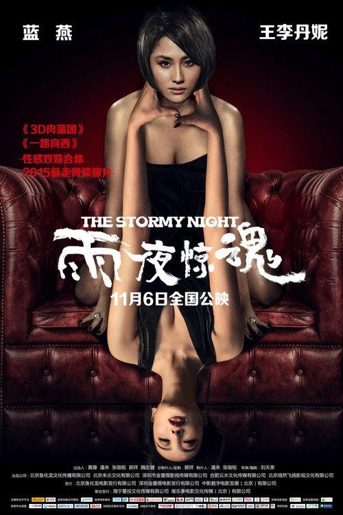 The Stormy Night 2015 official movie poster