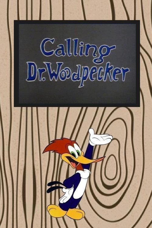 Calling Dr. Woodpecker 1962 official movie poster