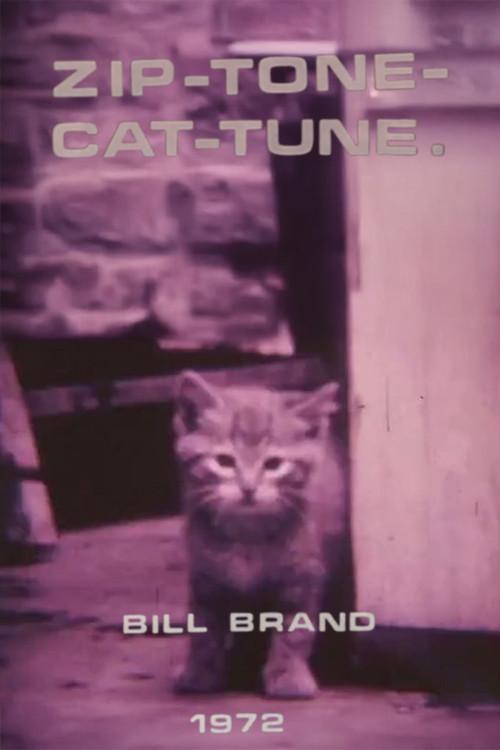 Zip-Tone-Cat-Tune 1972 official movie poster