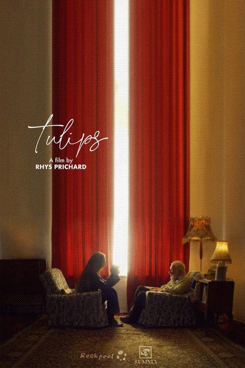 Tulips 2025 official movie poster