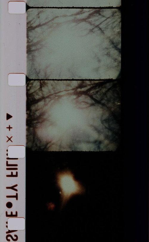 Signaux lumineux pour un ballet nuptial 1983 official movie poster