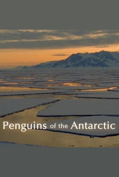 Penguins of the Antarctic 2006 official movie poster