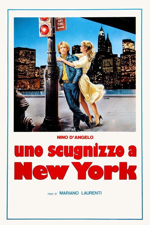 Neapolitan Boy in New York 1984 official movie poster