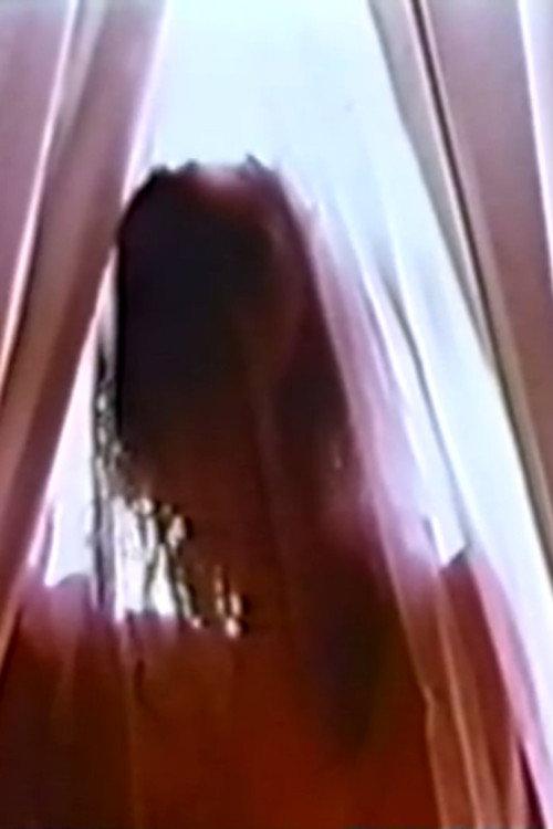Sexual Meditation: Office Suite 1972 official movie poster