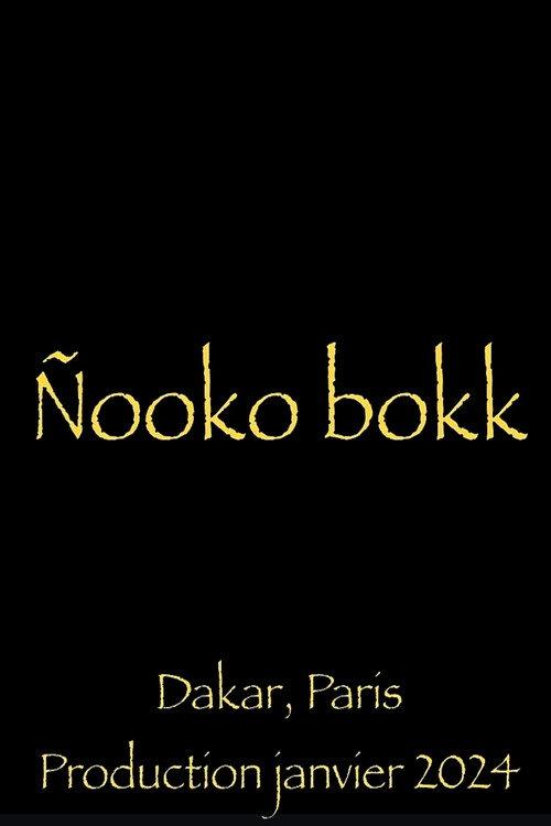 Nooko Bokk 2024 official movie poster