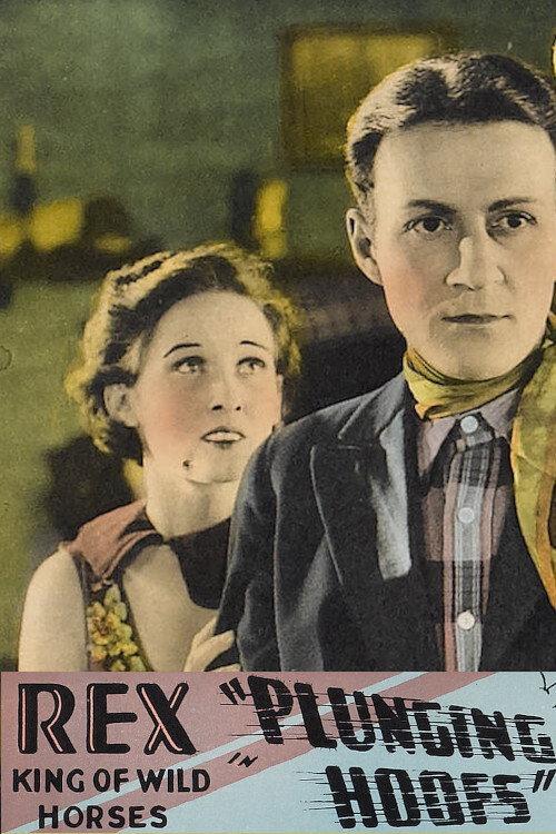 Plunging Hoofs 1929 official movie poster