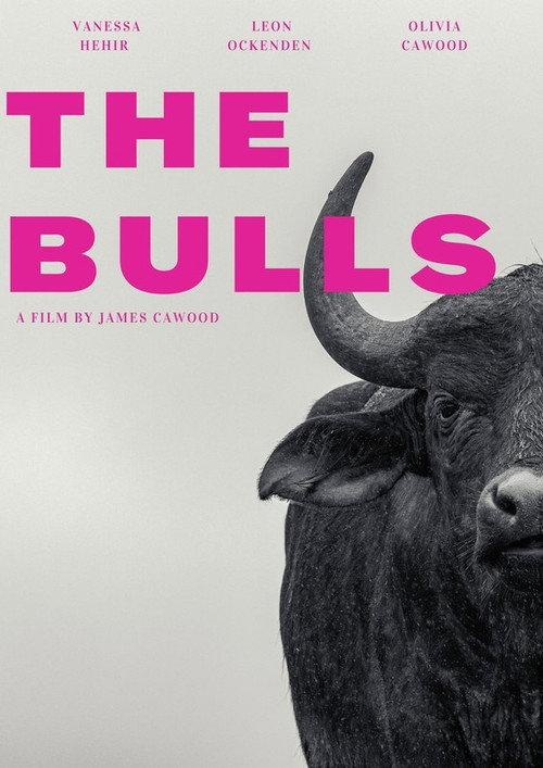 The Bulls 2023 official movie poster