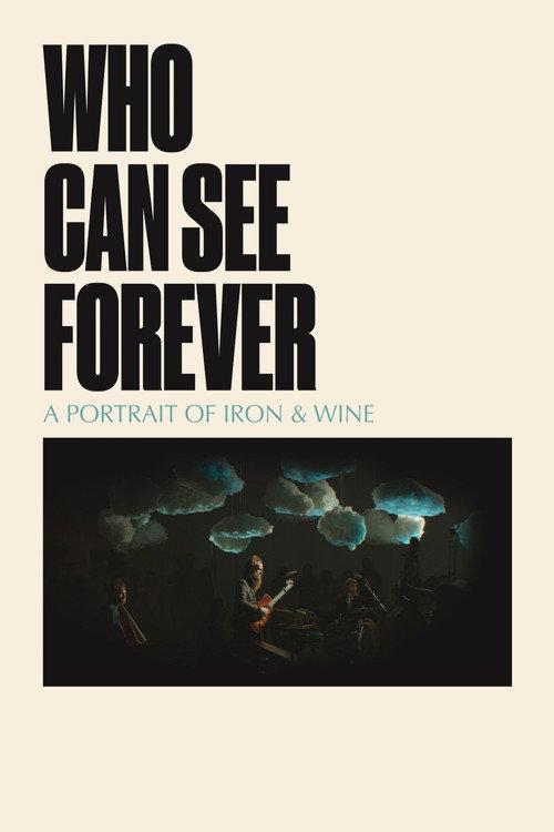 Who Can See Forever official movie poster