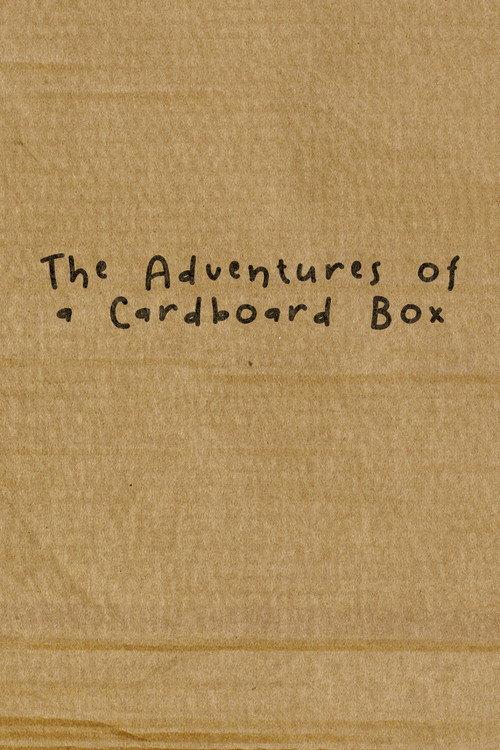 The Adventures of a Cardboard Box 2011 official movie poster
