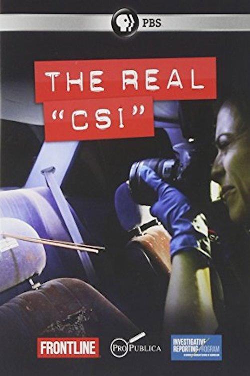 The Real CSI 2012 official movie poster