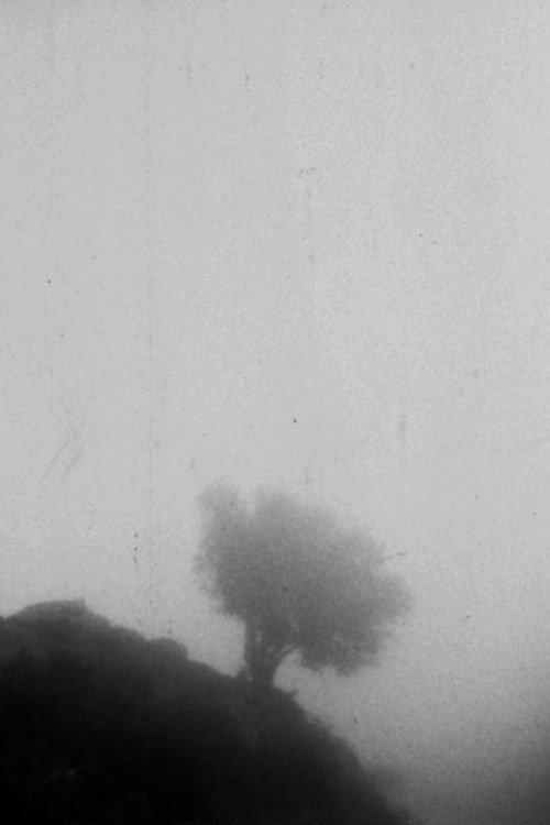 Only If You Could See a View Above the Clouds 2023 official movie poster