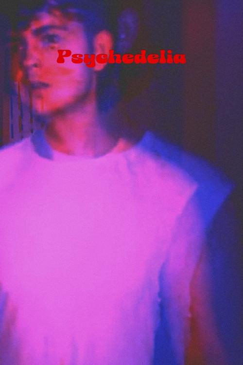 Psychedelia 2022 official movie poster