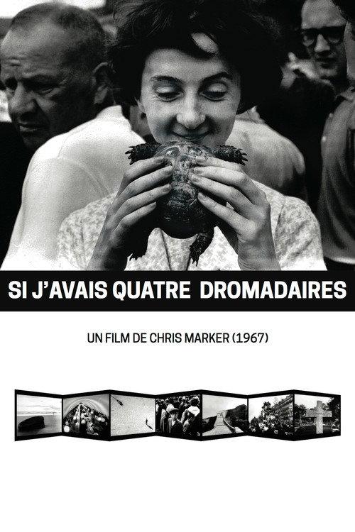 If I Had Four Dromedaries 1966 official movie poster