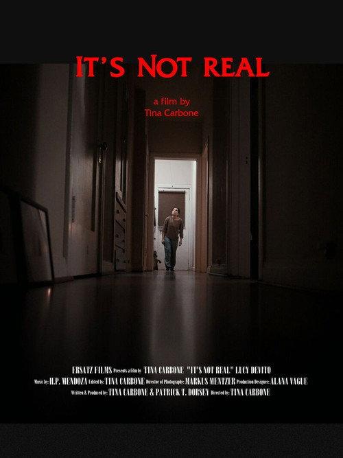 It's Not Real 2023 official movie poster