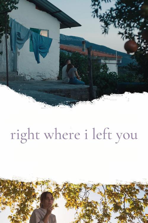 Right Where I Left You 2024 official movie poster