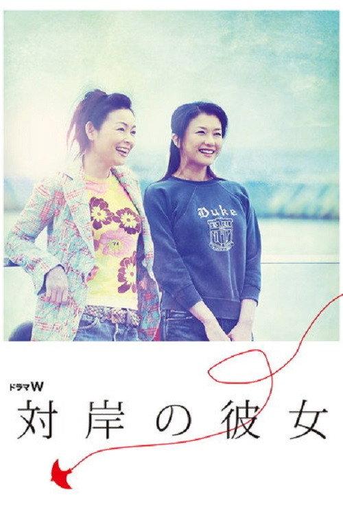 The Woman Opposite 2006 official movie poster