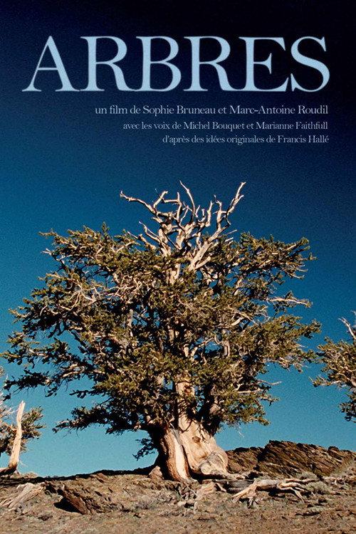 Trees 2001 official movie poster