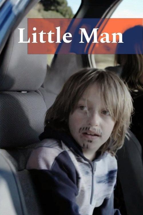 Little Man 2013 official movie poster