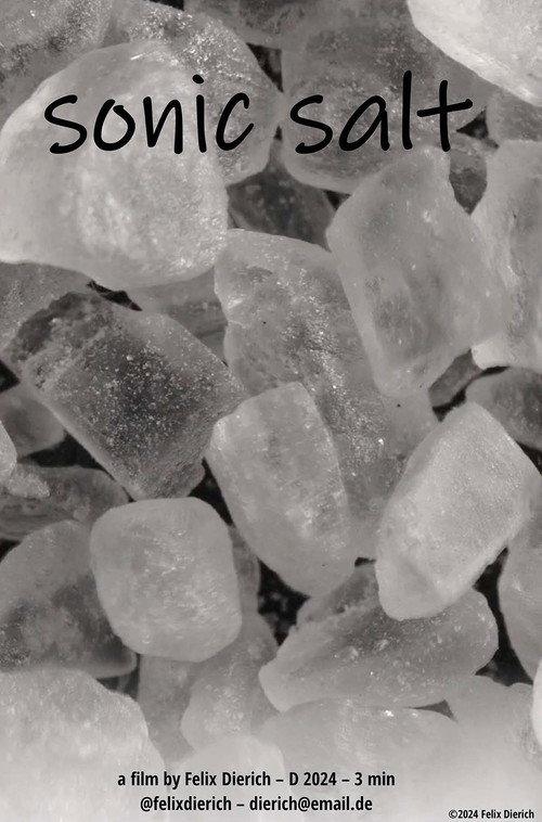 sonic salt 2025 official movie poster