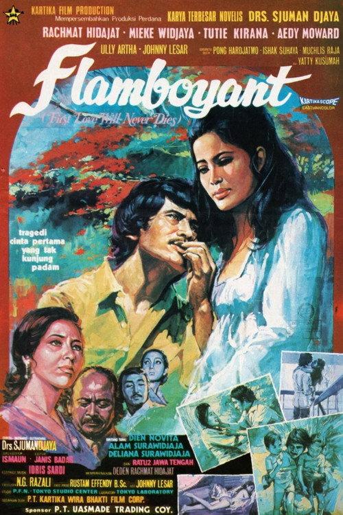 Flamboyant 1972 official movie poster