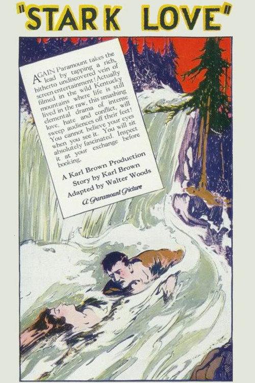 Stark Love 1927 official movie poster