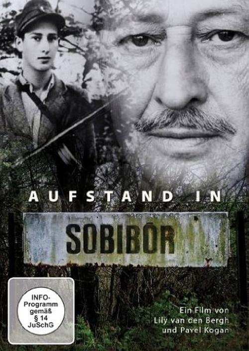 Revolt in Sobibor 1989 official movie poster