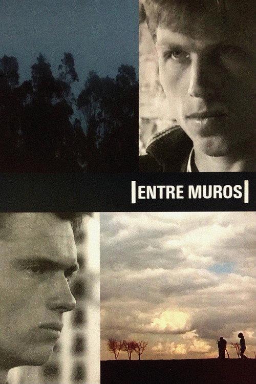 In Between Walls 2003 official movie poster