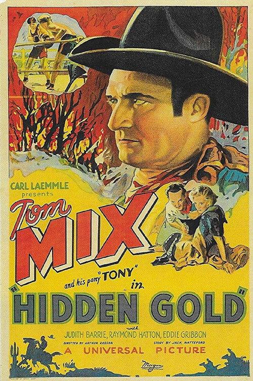 Hidden Gold 1932 official movie poster